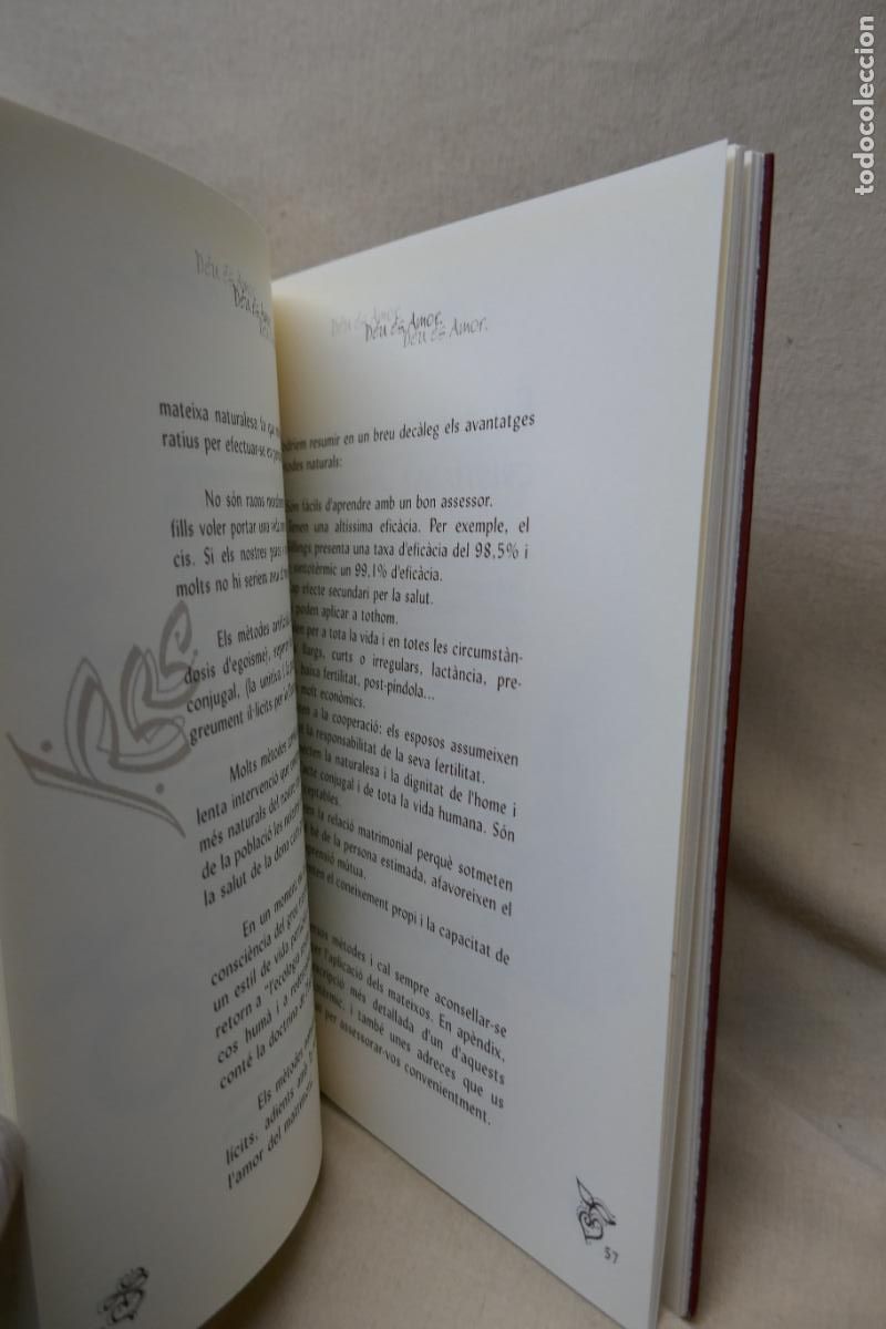 Libros de segunda mano: JUNTS FENT CAMI (EN CATALAN) - Foto 11