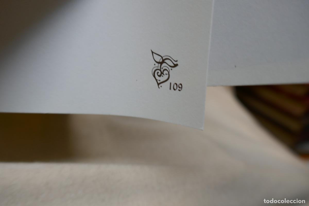 Libros de segunda mano: JUNTS FENT CAMI (EN CATALAN) - Foto 13