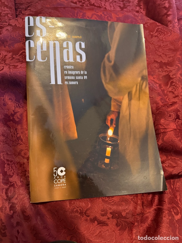 Libros de segunda mano: Revista Escenas 2009 Semana Santa Zamora