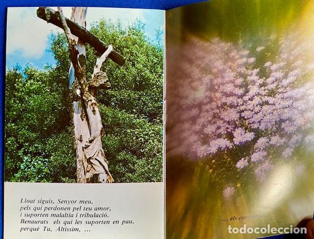 Libros de segunda mano: C&Agrave;NTIC DEL SOL - SANT FRANCESC DASS&Iacute;S - EDICI&Oacute; EN CATAL&Agrave; - CLARET - Foto 2