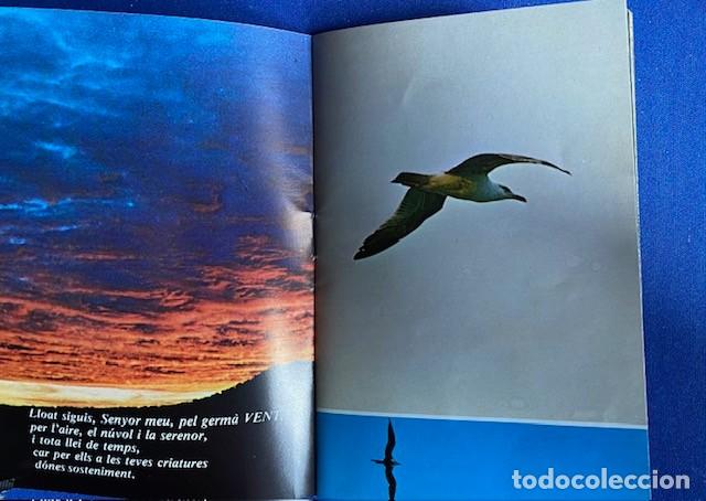 Libros de segunda mano: C&Agrave;NTIC DEL SOL - SANT FRANCESC DASS&Iacute;S - EDICI&Oacute; EN CATAL&Agrave; - CLARET - Foto 3