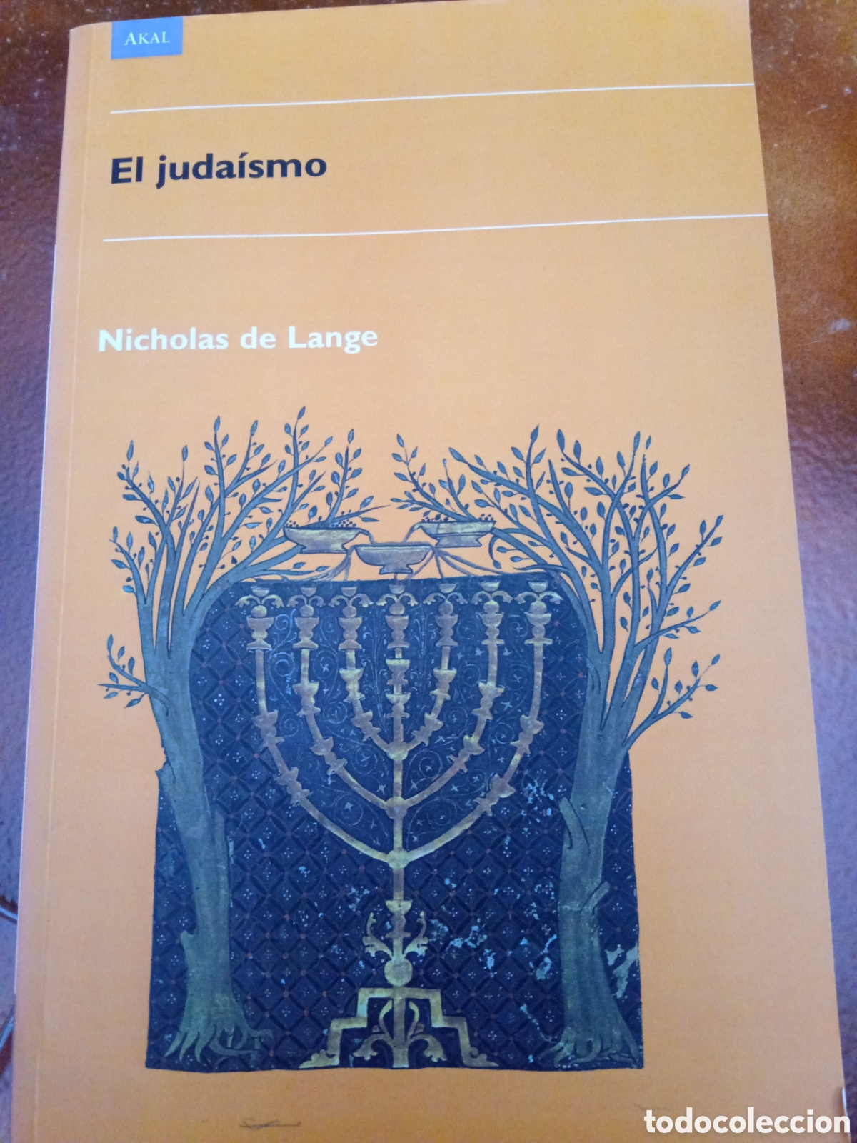 Libros de segunda mano: El juda&iacute;smo. Nicholas de Lange - Foto 1
