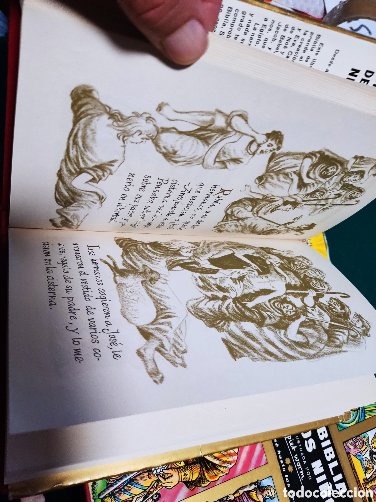Libros de segunda mano: Libros La Biblia de los Ni&ntilde;os - Foto 5