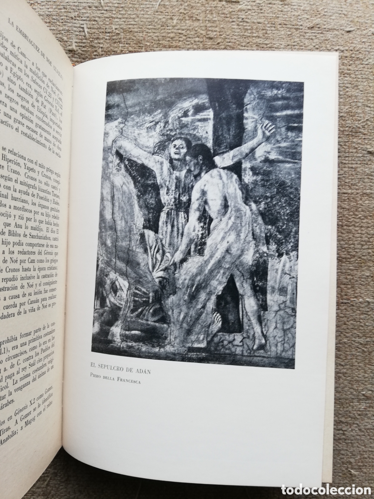 Libros de segunda mano: Los mitos hebreos. El libro del G&eacute;nesis, de Robert Graves y Raphael Patai - Foto 4
