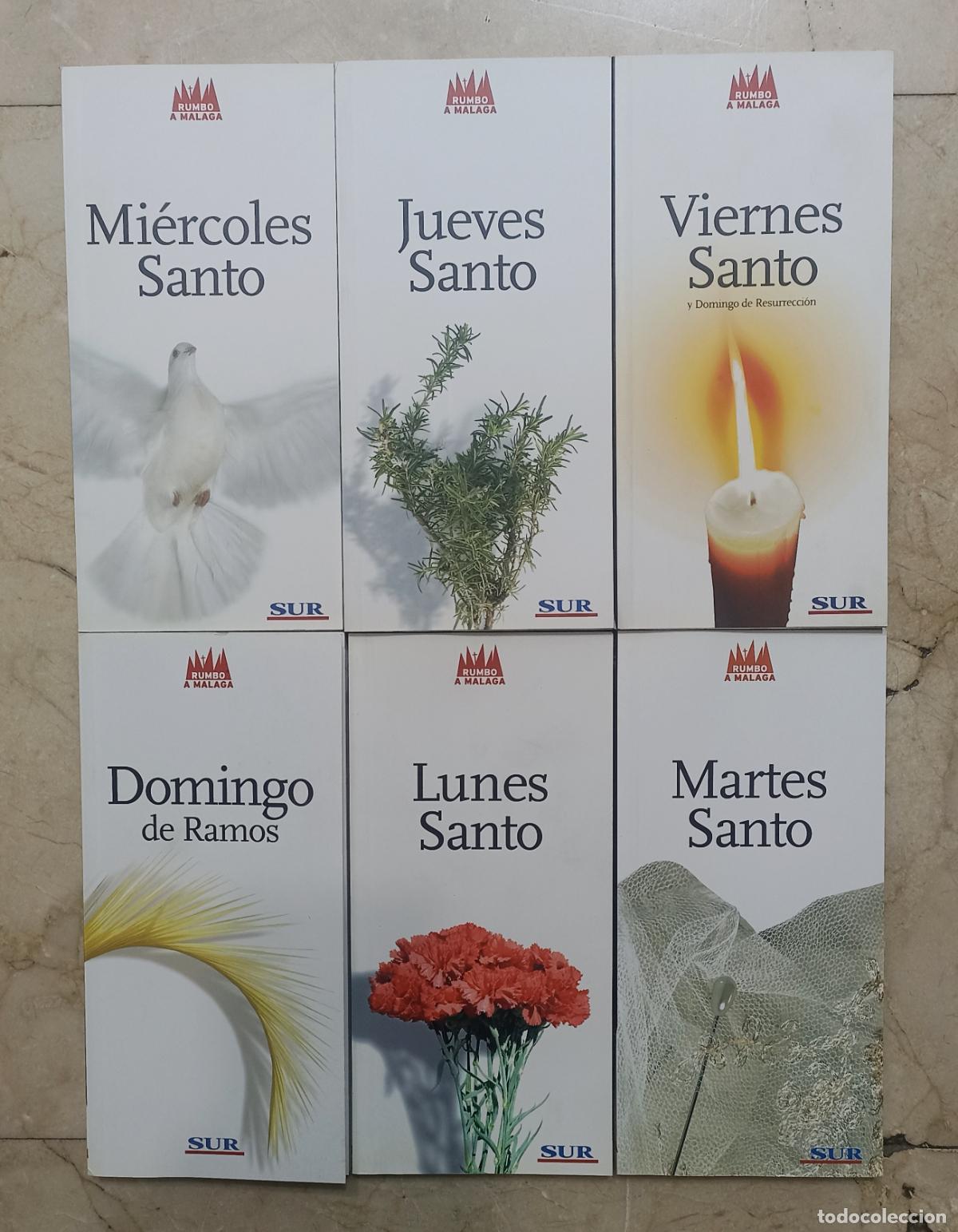 Libros de segunda mano: 6 LIBROS SEMANA SANTA DE M&Aacute;LAGA 2006 - DIARIO SUR - RUMBO A M&Aacute;LAGA