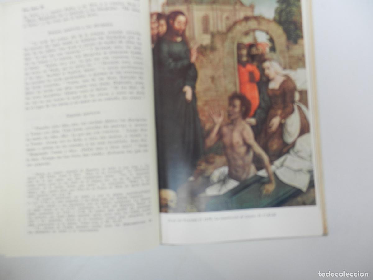Libros de segunda mano: NUEVO TESTAMENTO - NACAR-COLUNGA - BAC 1964. - Foto 8