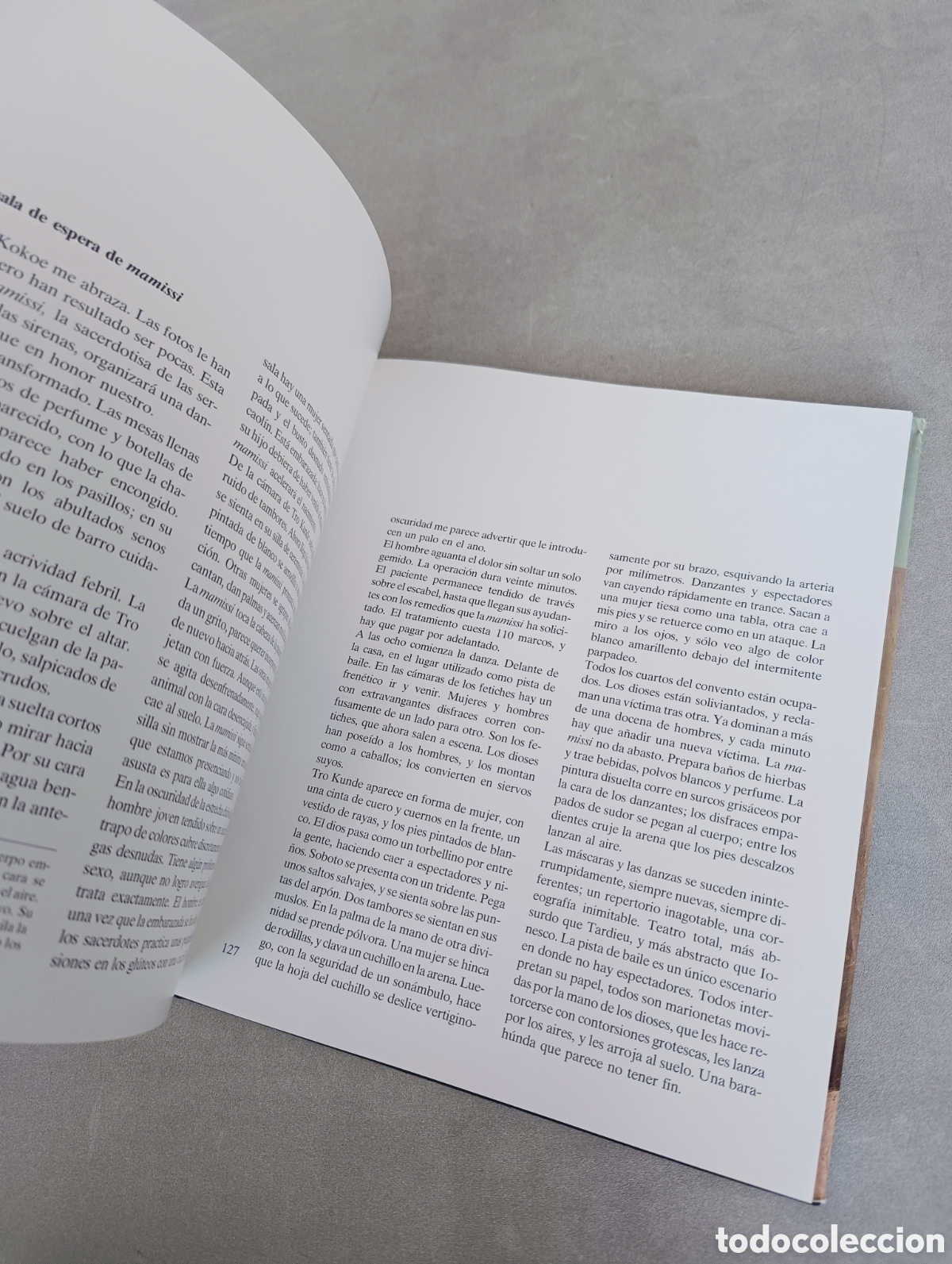 Libros de segunda mano: VUD&Uacute;, EL PODER SECRETO DE &Aacute;FRICA, GERT CHESI. PERLINGER. - Foto 4