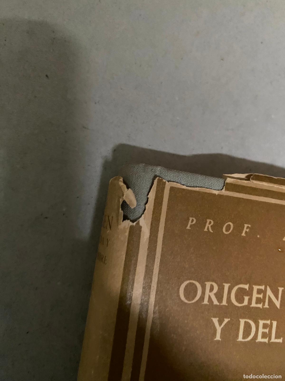 Libros de segunda mano: ORIGEN DE LA VIDA Y DEL HOMBRE - HAAS, ADOLF - Foto 3