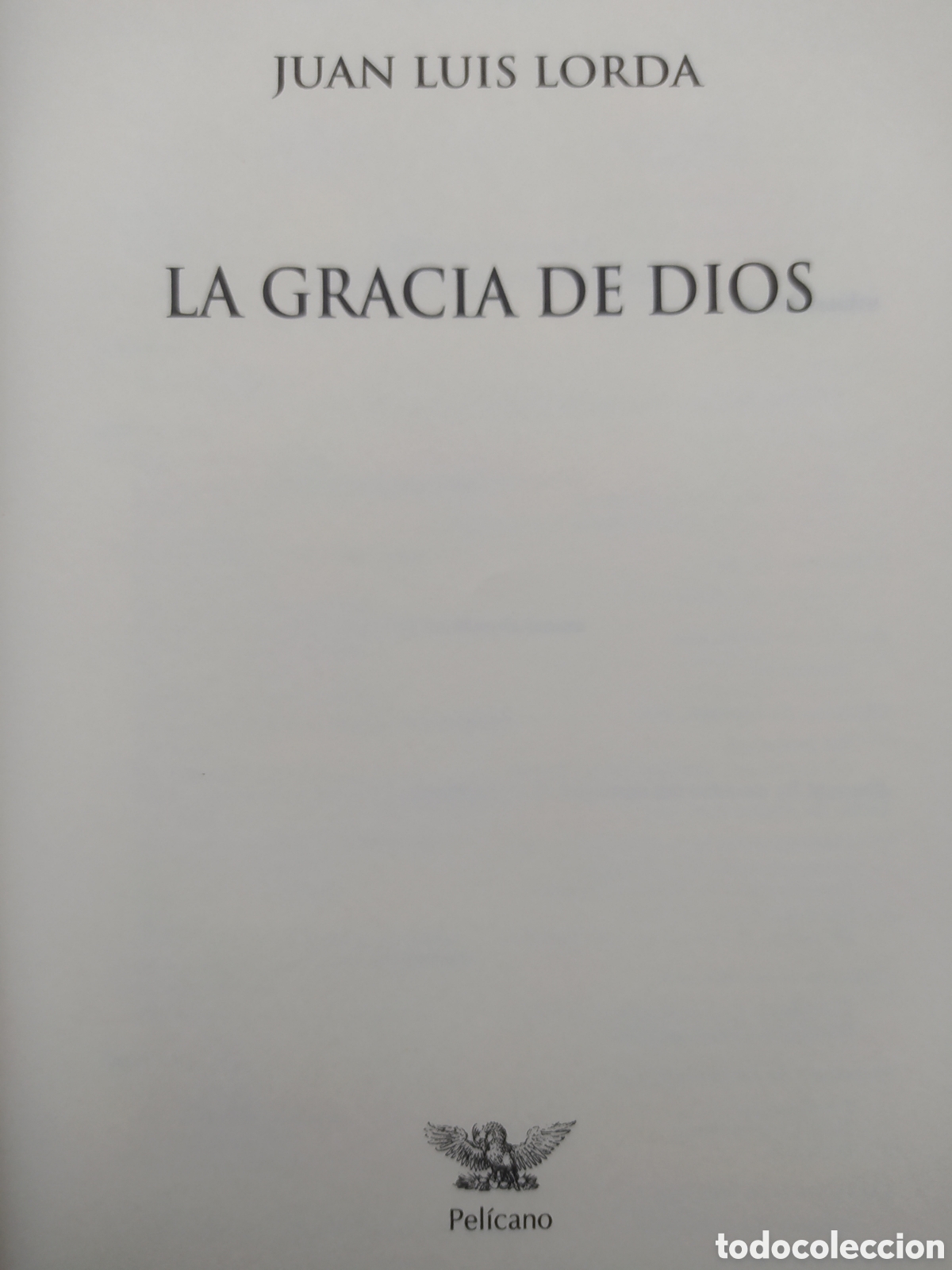 Libros de segunda mano: La Gracia de Dios, JL Lorda - Foto 2