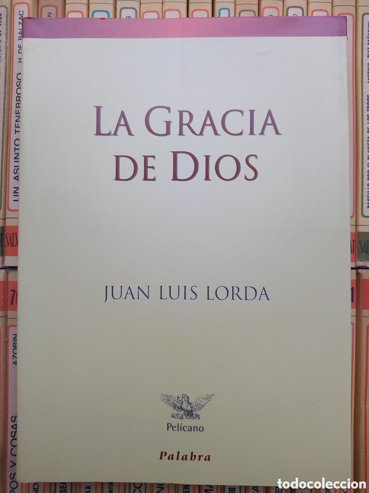 Libros de segunda mano: La Gracia de Dios, JL Lorda - Foto 1