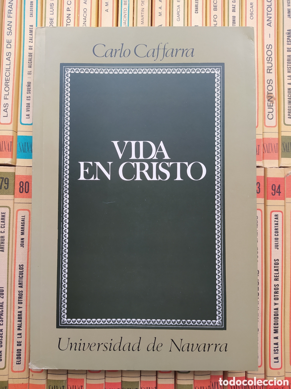 Libros de segunda mano: Vida en Cristo, Carlos Caffara, EUNSA - Foto 1