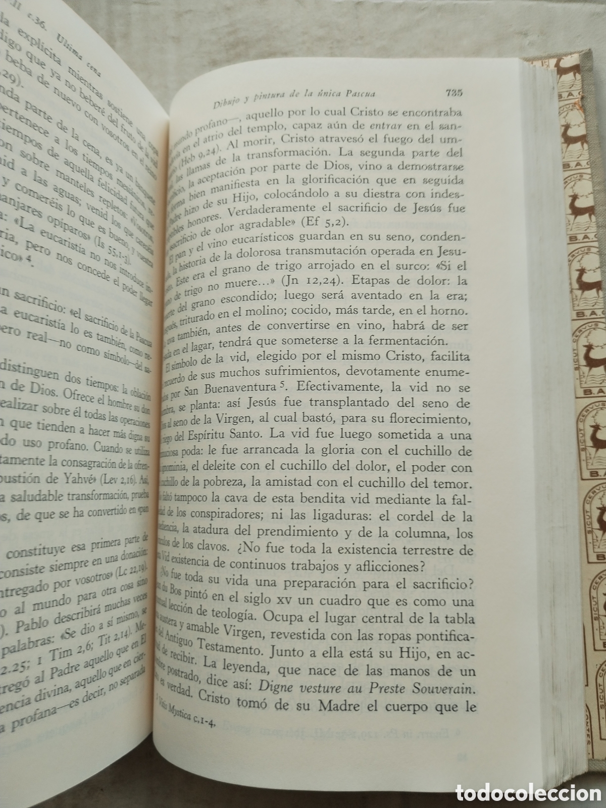 Libros de segunda mano: CRISTO VIVO/B. A. C. - Foto 4