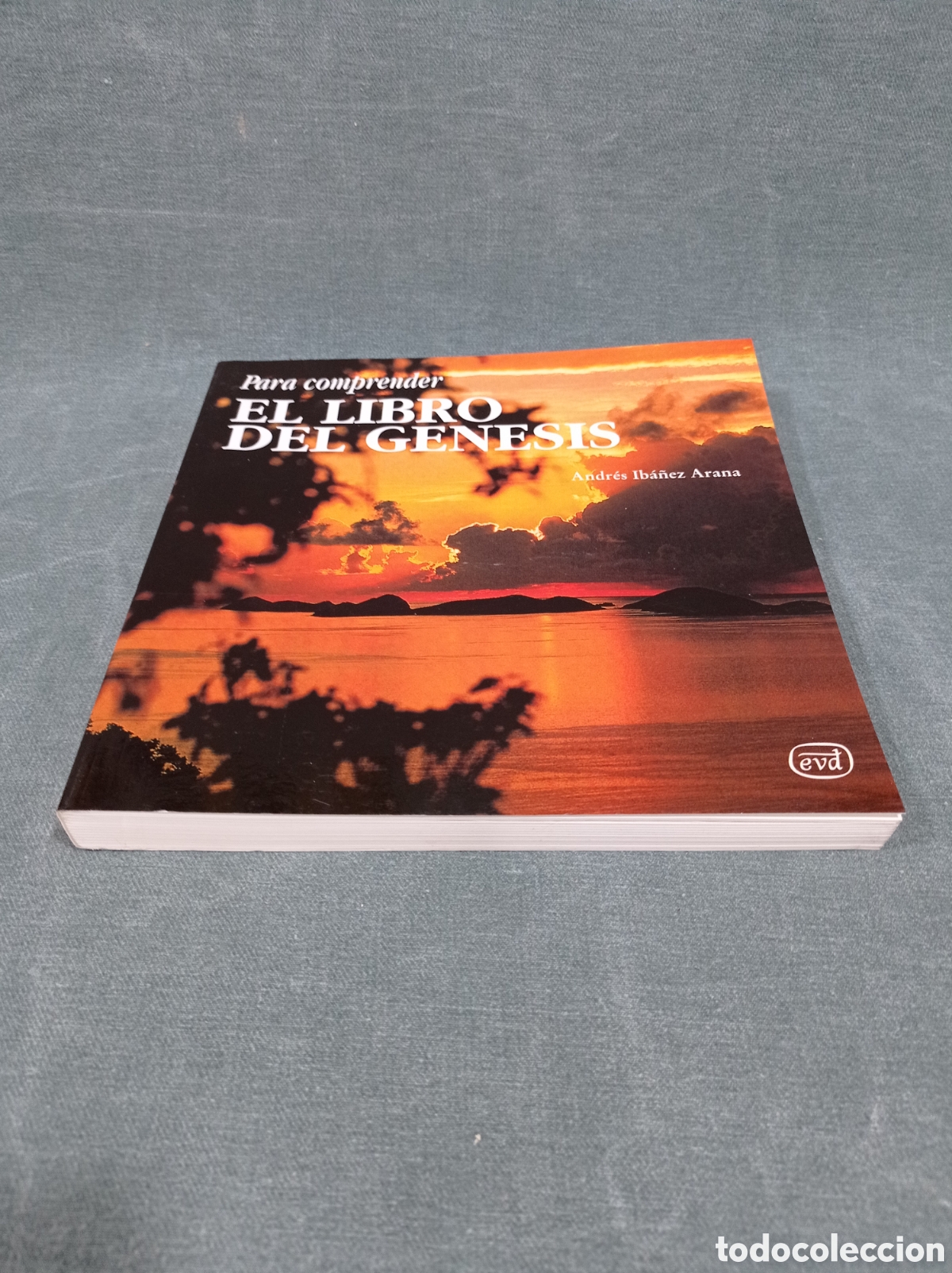 Libros de segunda mano: PARA COMPRENDER EL LIBRO DEL G&Eacute;NESIS - ANDR&Eacute;S IB&Aacute;&Ntilde;EZ ARANA - Foto 2