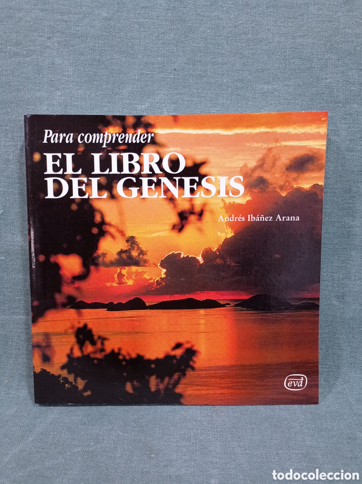 Libros de segunda mano: PARA COMPRENDER EL LIBRO DEL G&Eacute;NESIS - ANDR&Eacute;S IB&Aacute;&Ntilde;EZ ARANA - Foto 1