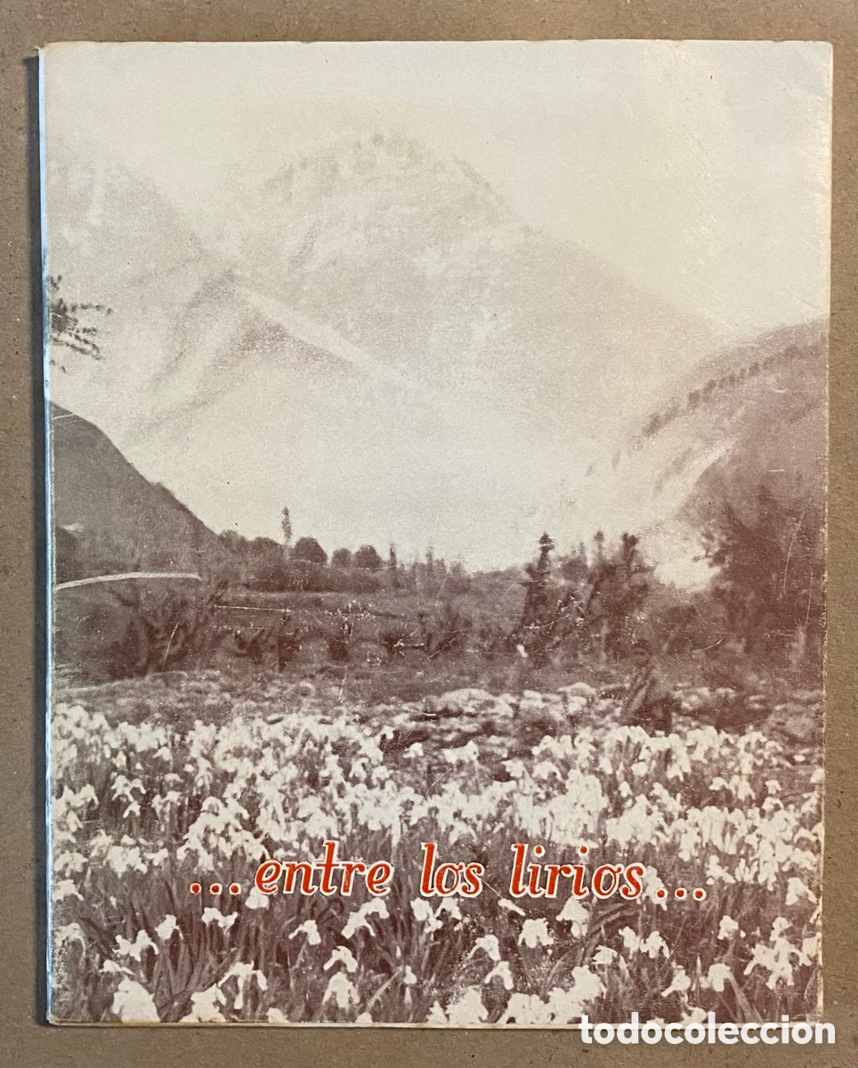 Livres d'occasion: &hellip;ENTRE LOS LIRIOS&hellip; FRANCISCANAS MISIONERAS DE MAR&Iacute;A. 1957.
