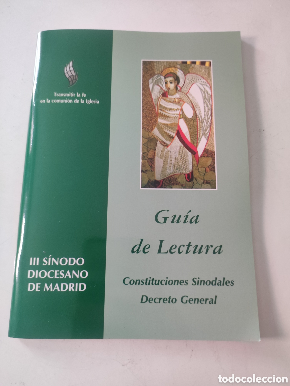 Second hand books: Gu&iacute;a de lectura. Constituciones sinodales decreto general