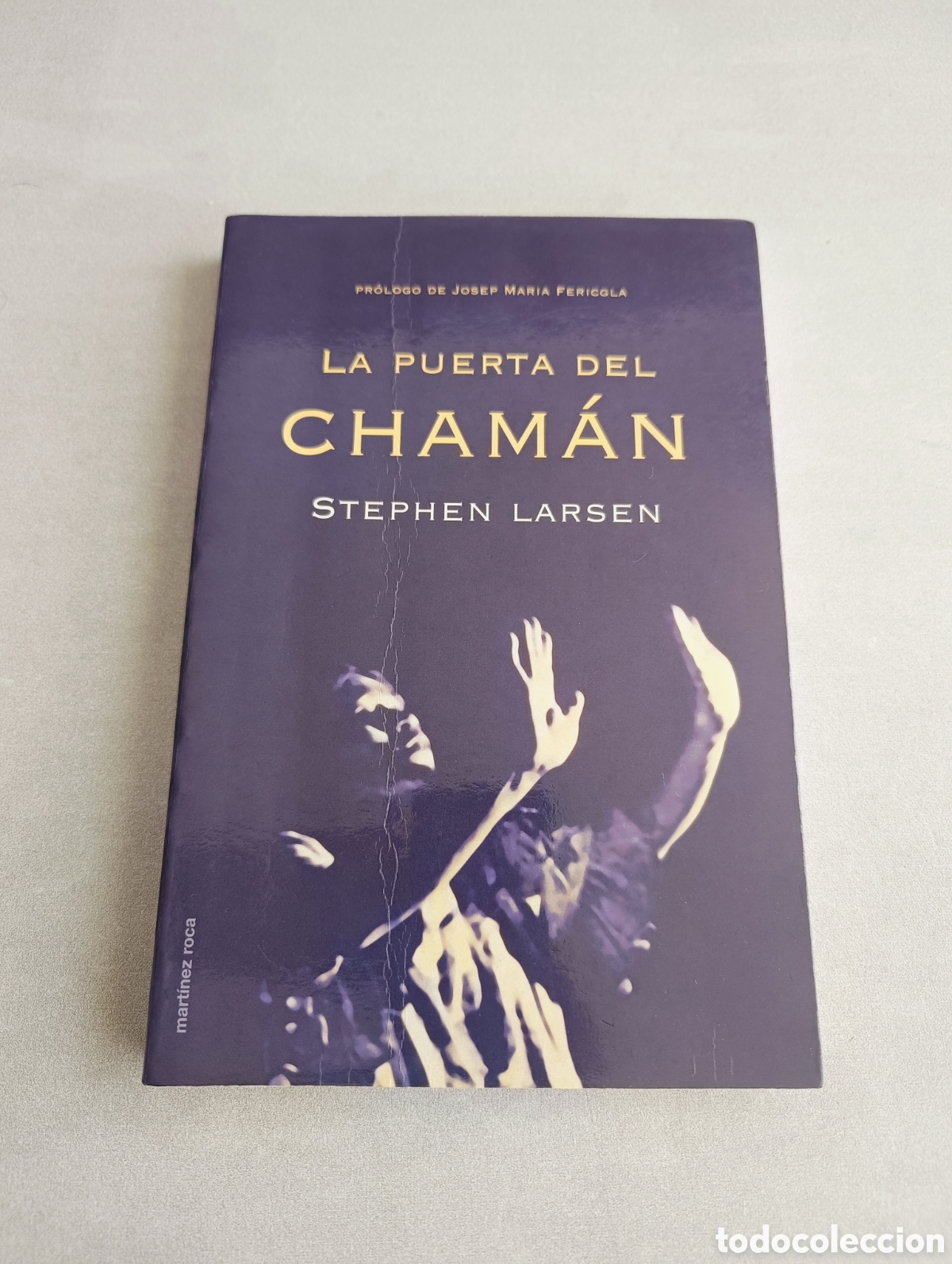 Libros de segunda mano: La puerta del Cham&aacute;n. Stephen Larsen - Foto 1