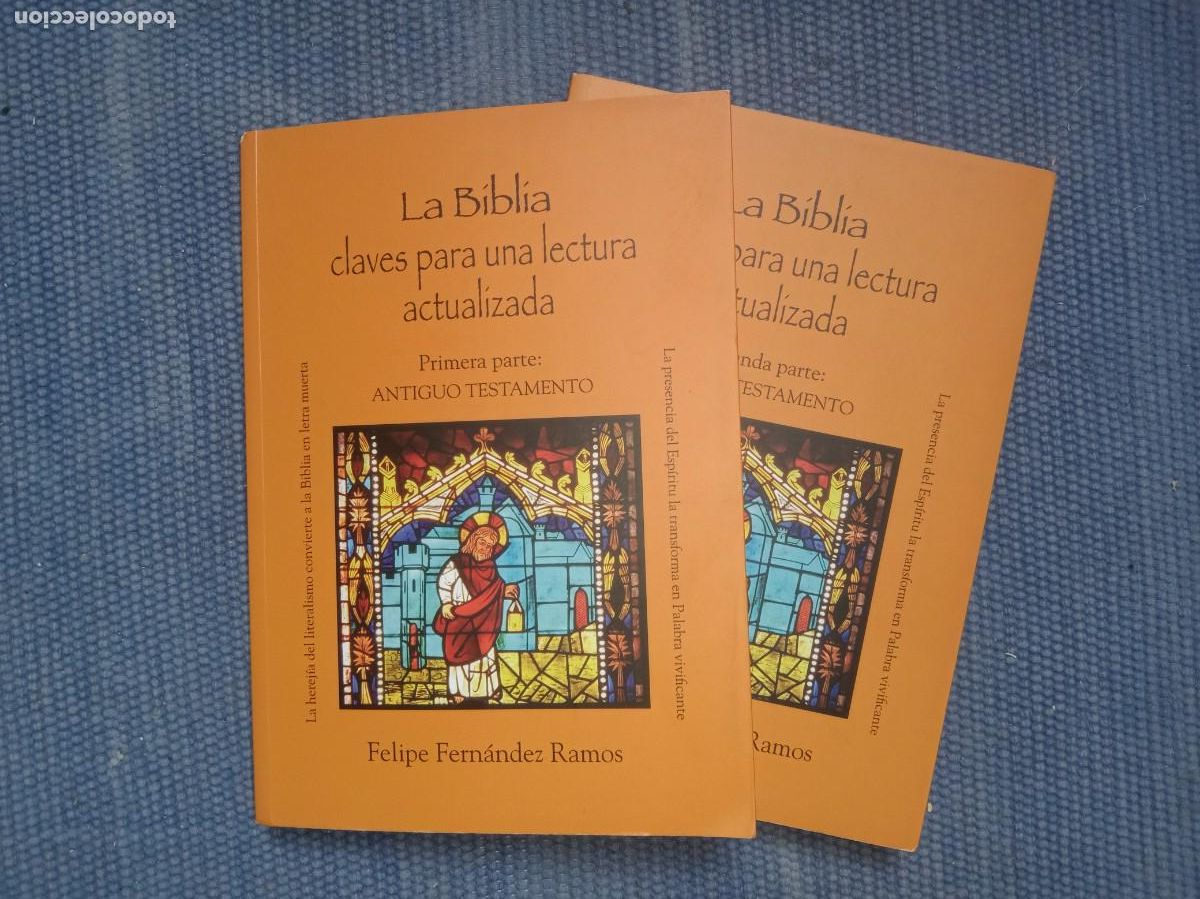 Libros de segunda mano: La Biblia claves para una lectura actualizada