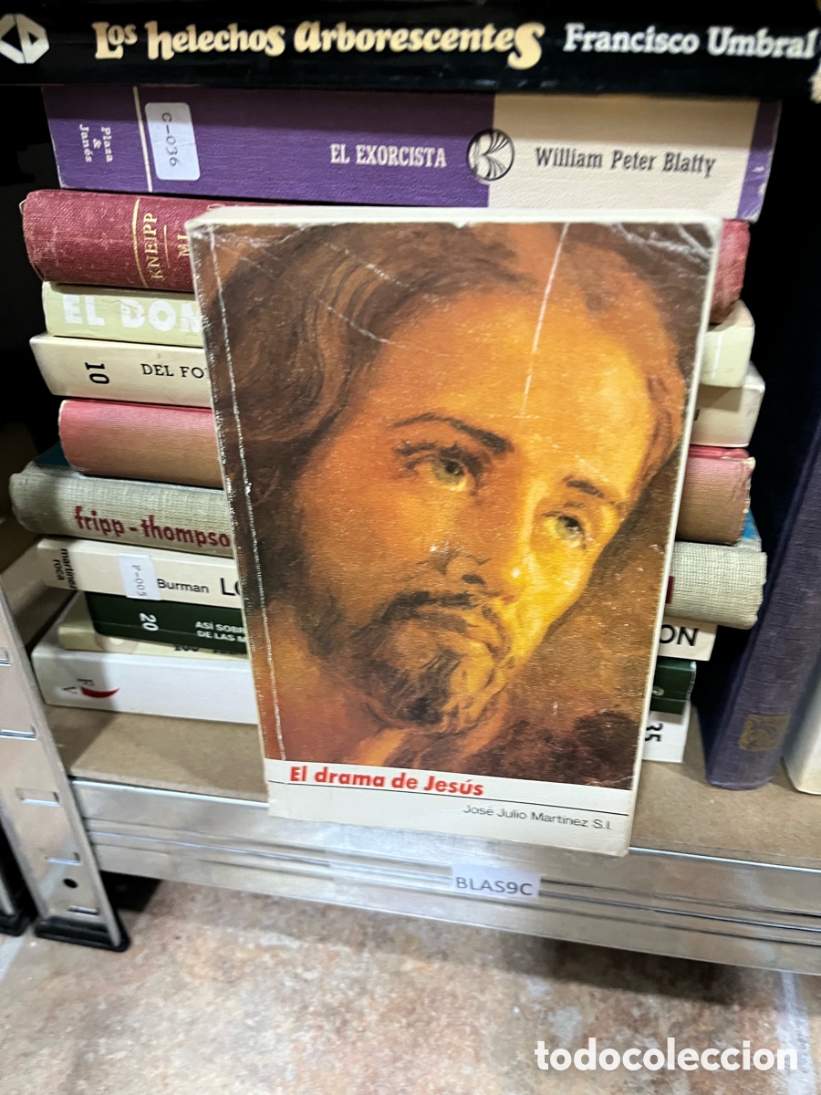 Libros de segunda mano: Blas9C El drama de Jes&uacute;s, Jos&eacute; Julio Mart&iacute;nez.