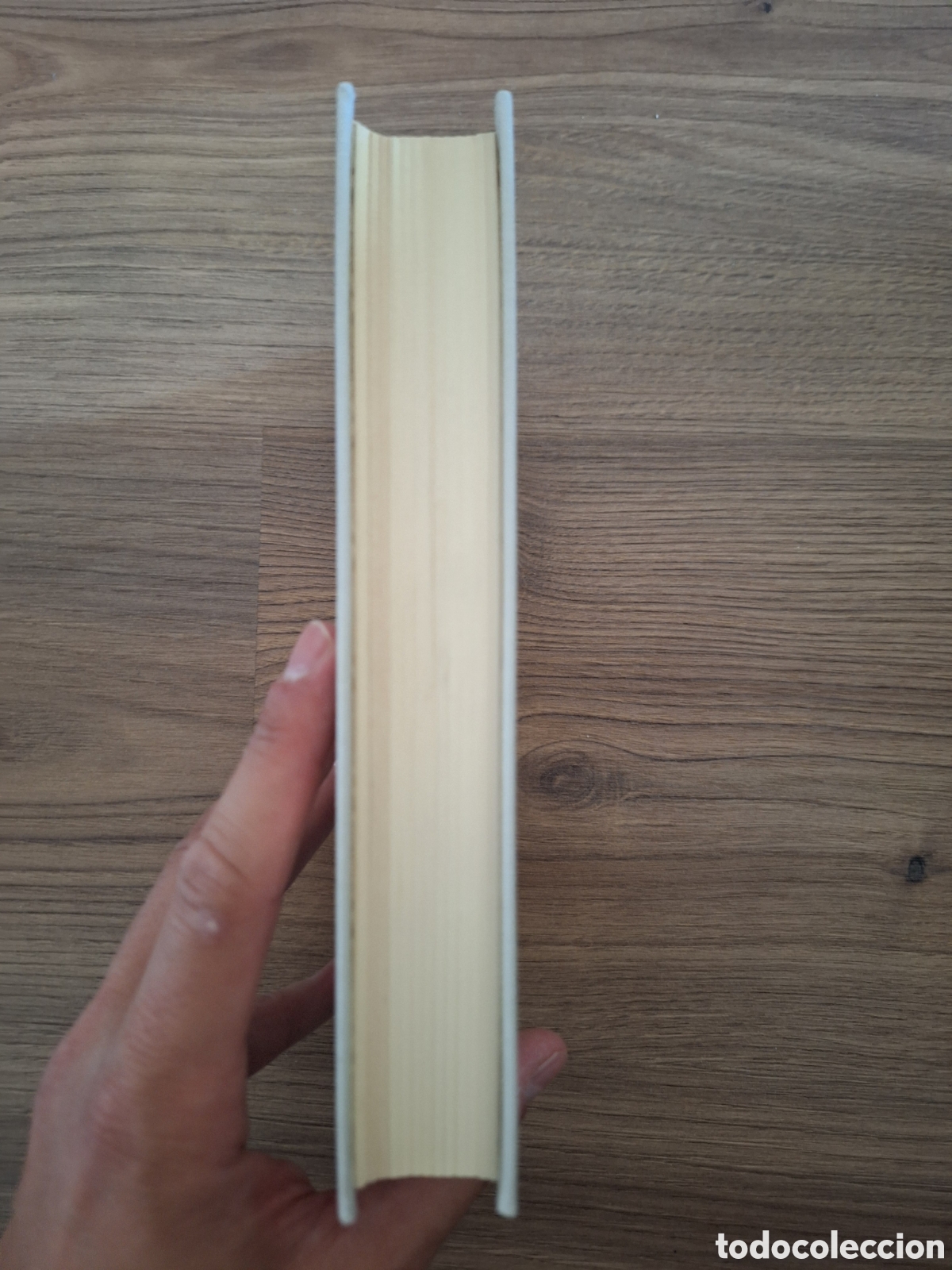 Libros de segunda mano: Itinerario de la Virgen Egeria (edic. bilingue) - Foto 4