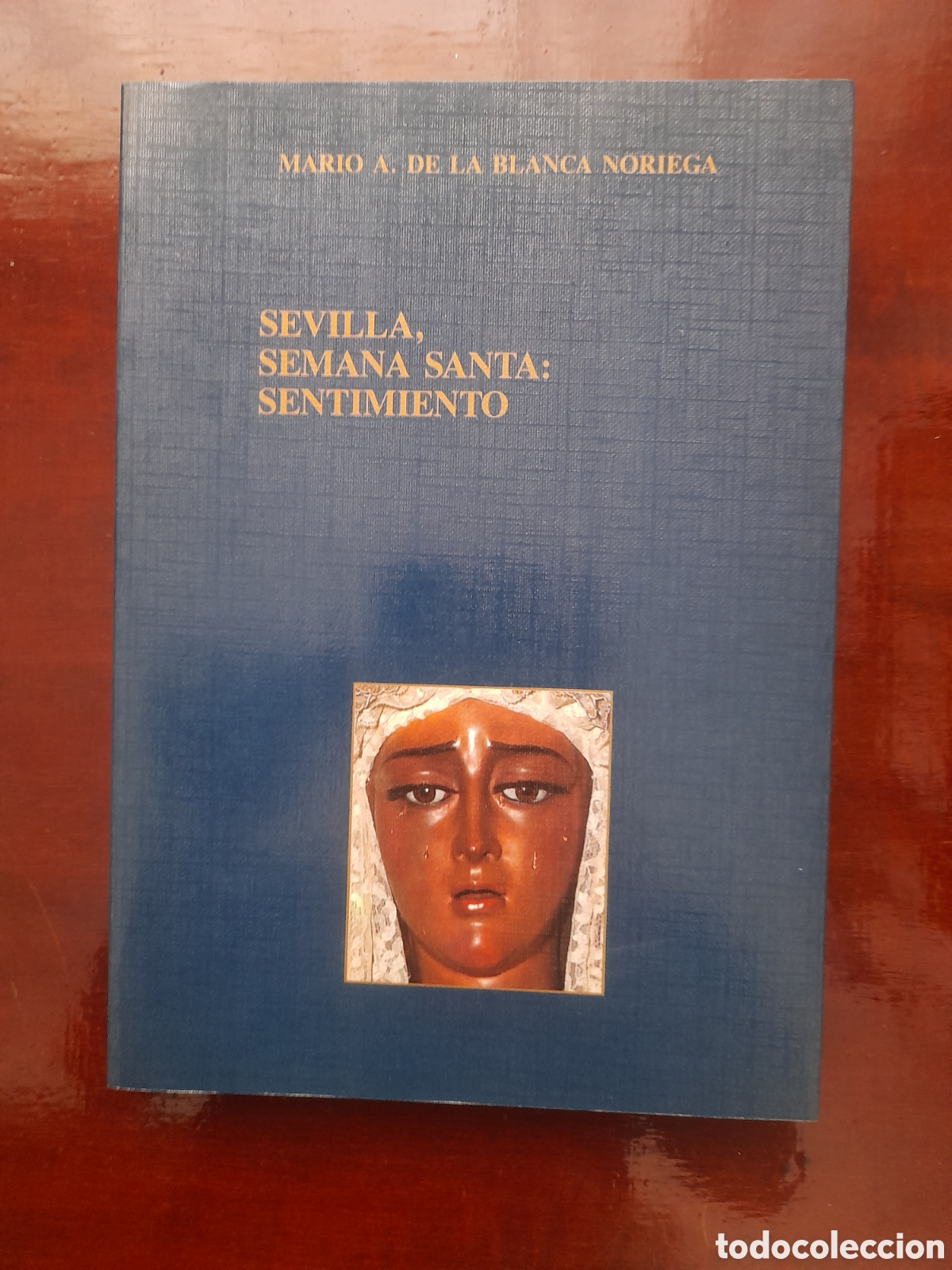Libros de segunda mano: Sevilla, Semana Santa: Sentimiento