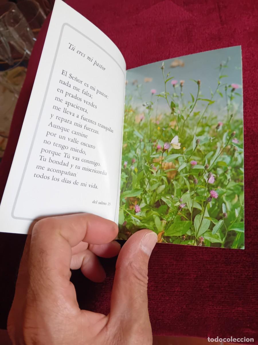 Libros de segunda mano: Salmos de la Ternura, ediciones Paulinas - Foto 2