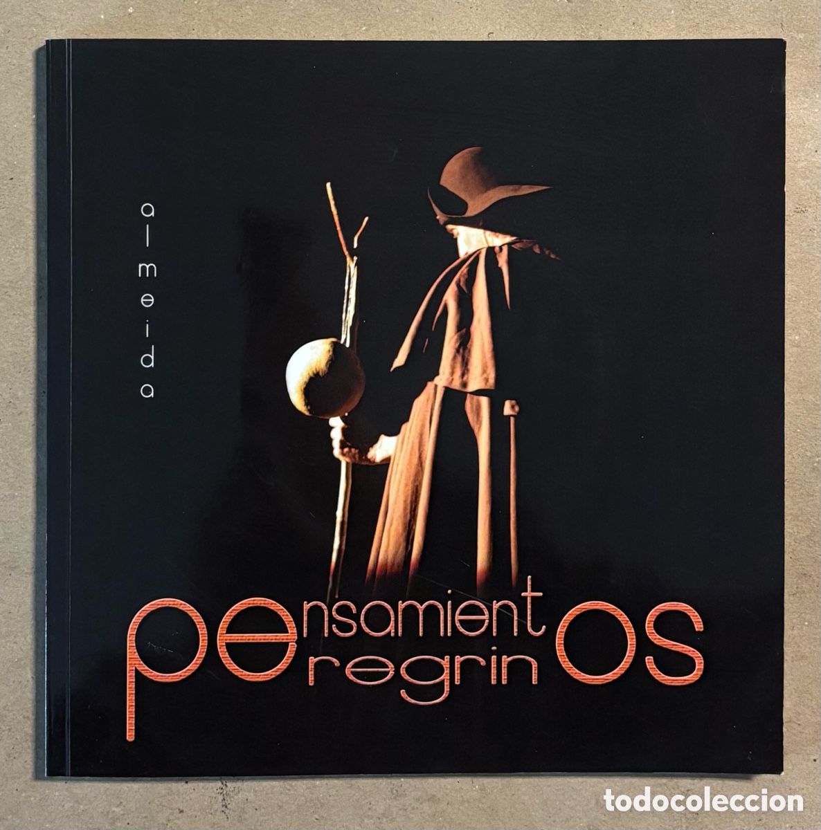 Livros em segunda m&atilde;o: PENSAMIENTOS PEREGRINOS. ALMEIDA. ERROTETA 2014. INCLUYE DVD.