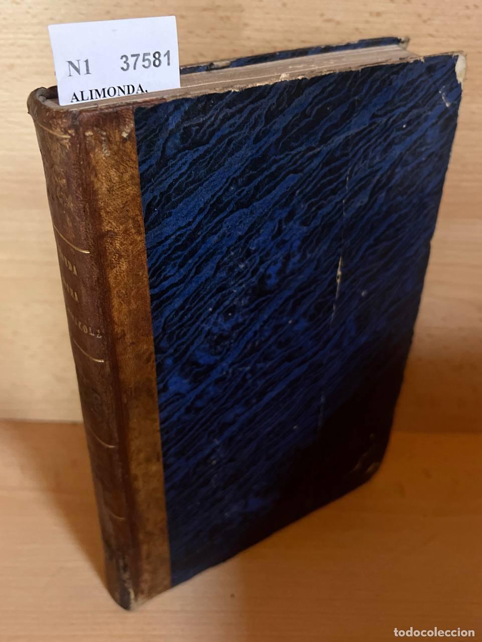 Libros de segunda mano: ALIMONDA, Gaetano - IL DOGMA DELL�IMMACOLATA RAGIONAMENTI del sacerdote ---.