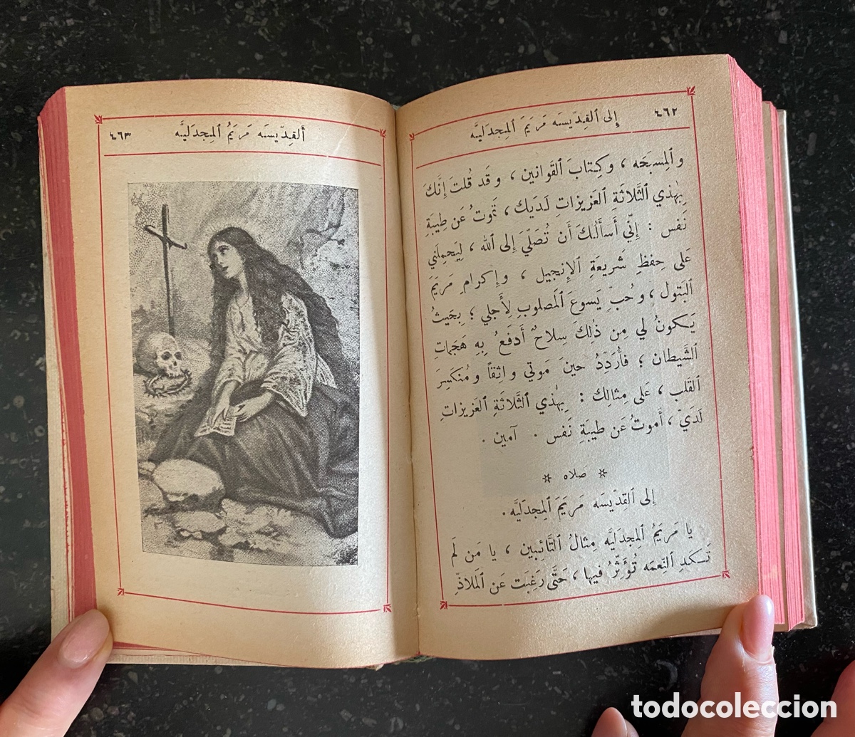 Libros de segunda mano: NUEVO TESTAMENTO EN &Aacute;RABE - Foto 4