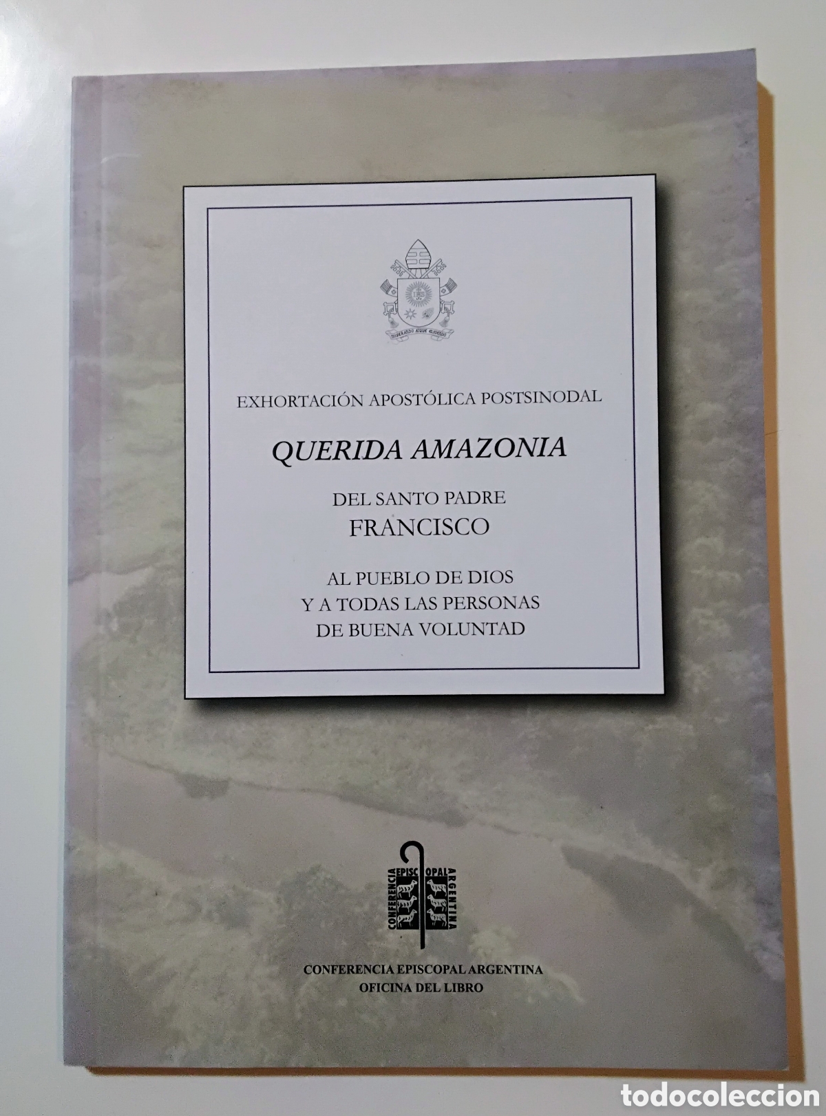 Second hand books: Francisco &mdash; Querida Amazonia (2020)