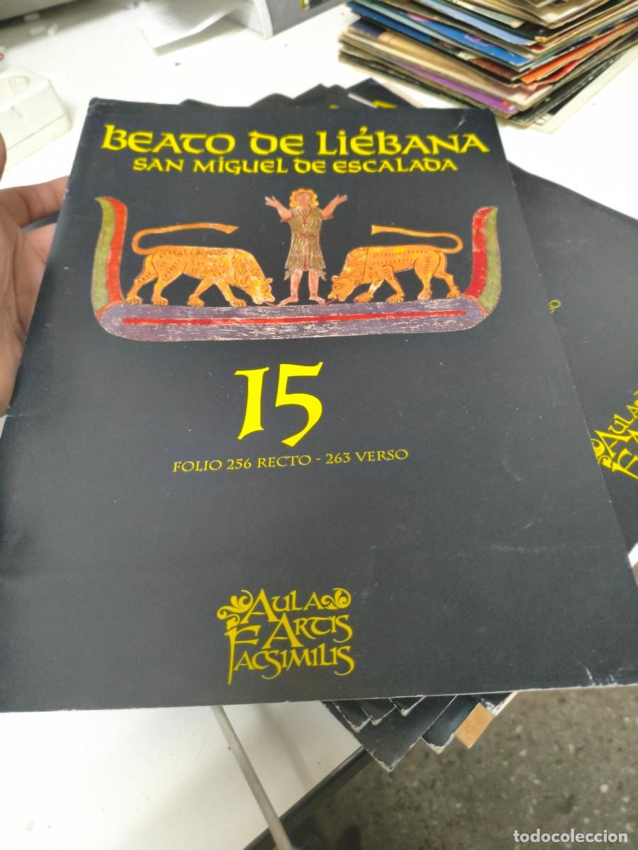 Libros de segunda mano: BEATO DE LIEBANA SAN MIGUEL DE ESCALADA. AULA ARTIS FACSIMILIS. FOLIO 15