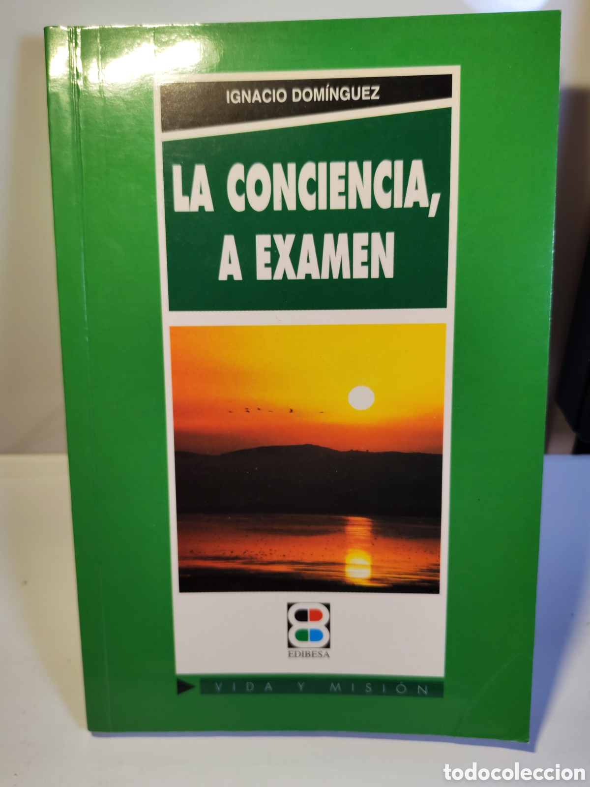 Libros de segunda mano: LA CONCIENCIA A EXAMEN. (Vida y mision) Ignacio Dominguez . Firmado .Vigo. primera edici&oacute;n 2003