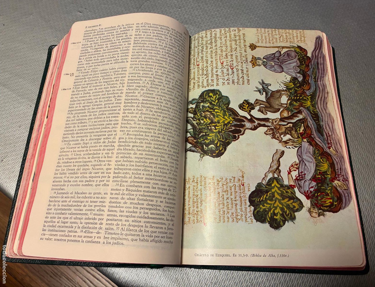 Libros de segunda mano: SAGRADA BIBLIA N&Aacute;CAR COLUNGA 1966 - Foto 11