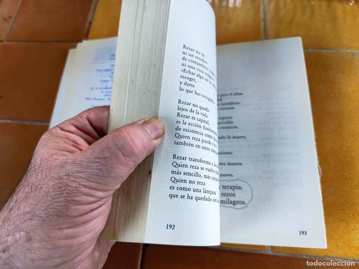 Libros de segunda mano: DIOS ERES INCREIBLE / PHIL BOSMANS / GARA 105 / EDICIONES 29 - Foto 8