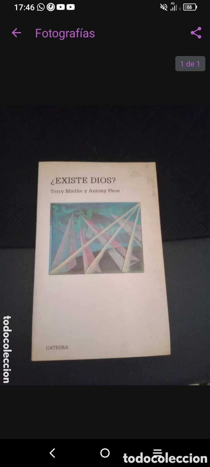 Libros de segunda mano: Toreteblanco existe dios Antony flew - Foto 1