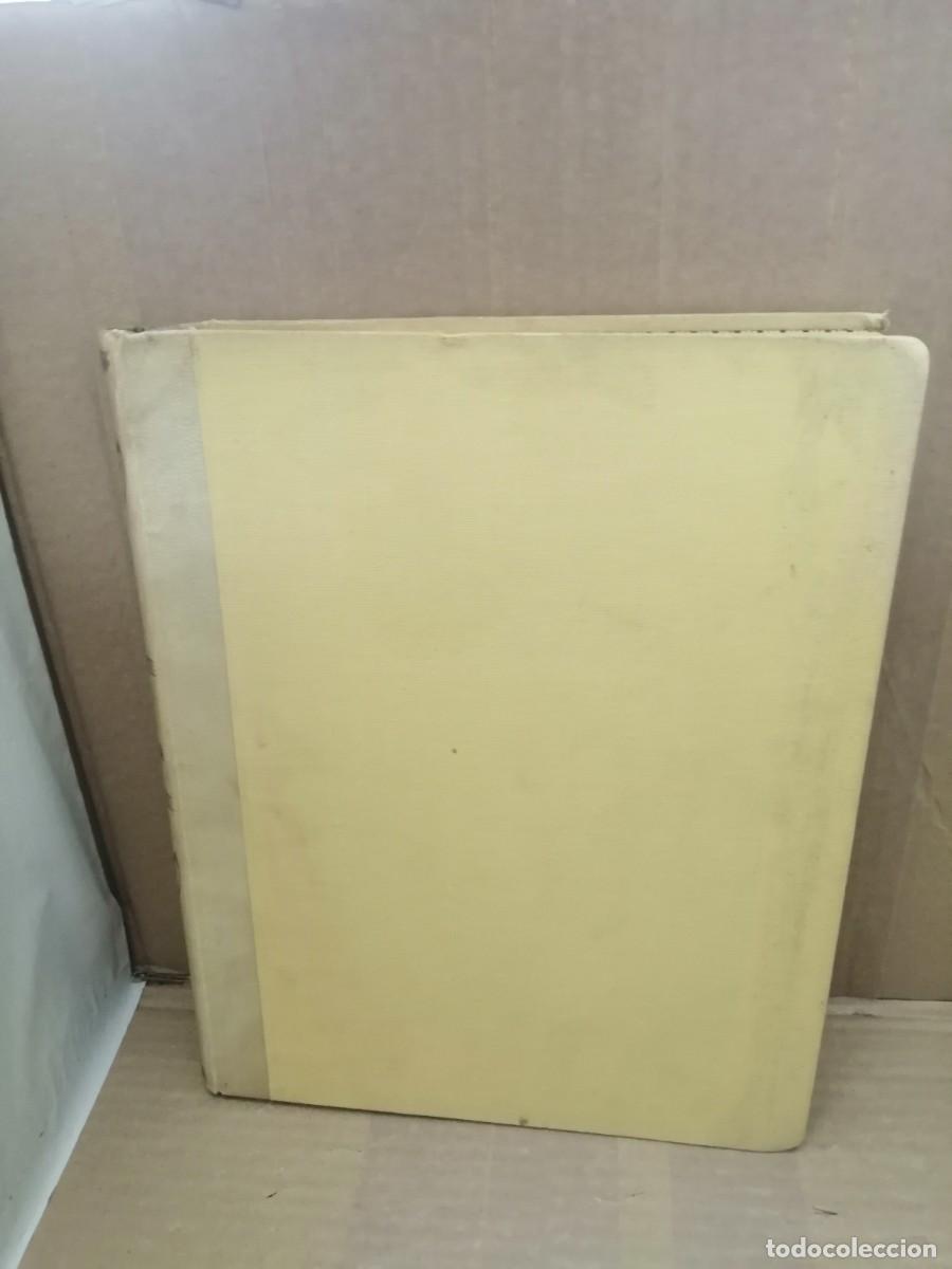 Livres d'occasion: La Sagrada Biblia m&aacute;s bella del mundo, Tomo VI: Santos Evangelios y Hechos de los Ap&oacute;stoles