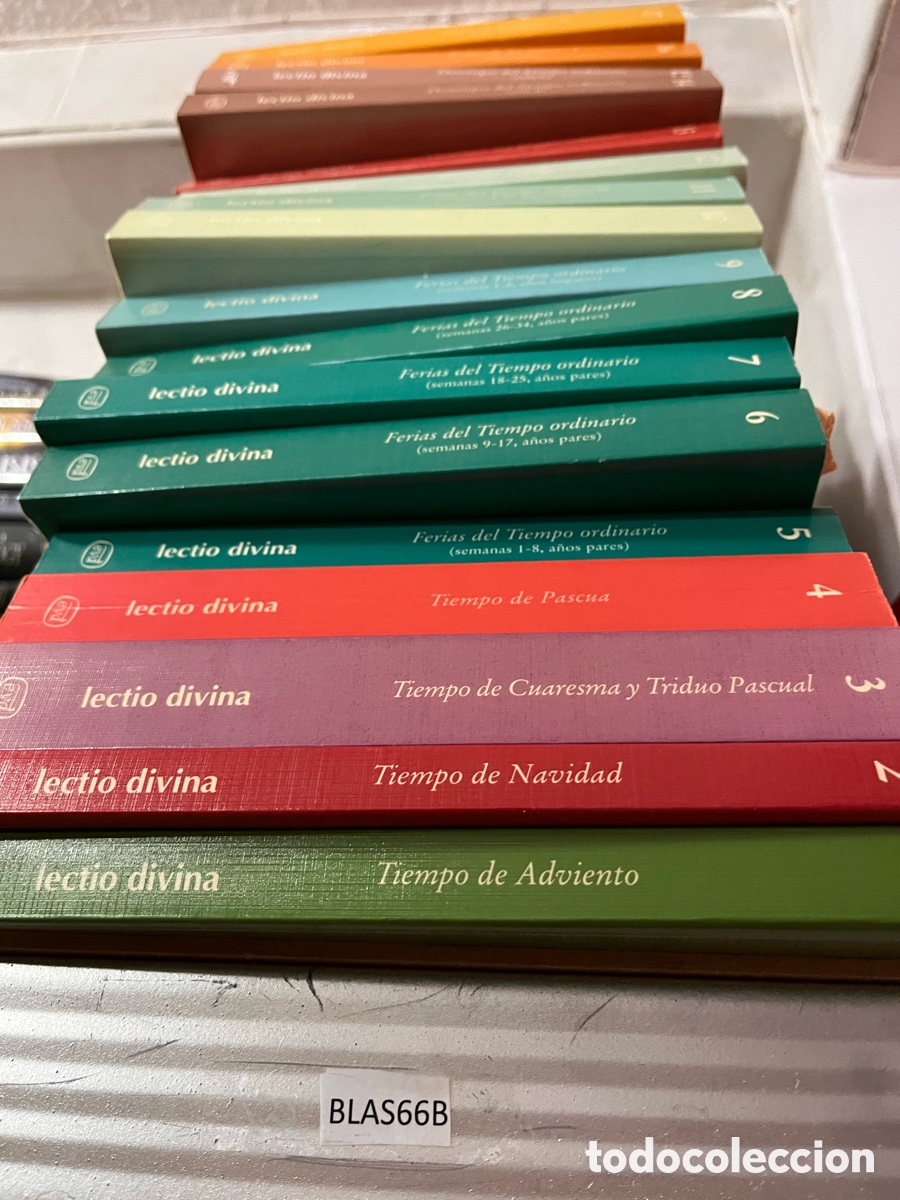Libros de segunda mano: Blas66B lectio divina para cada d&iacute;a del a&ntilde;o (17 tomos) verbo divino