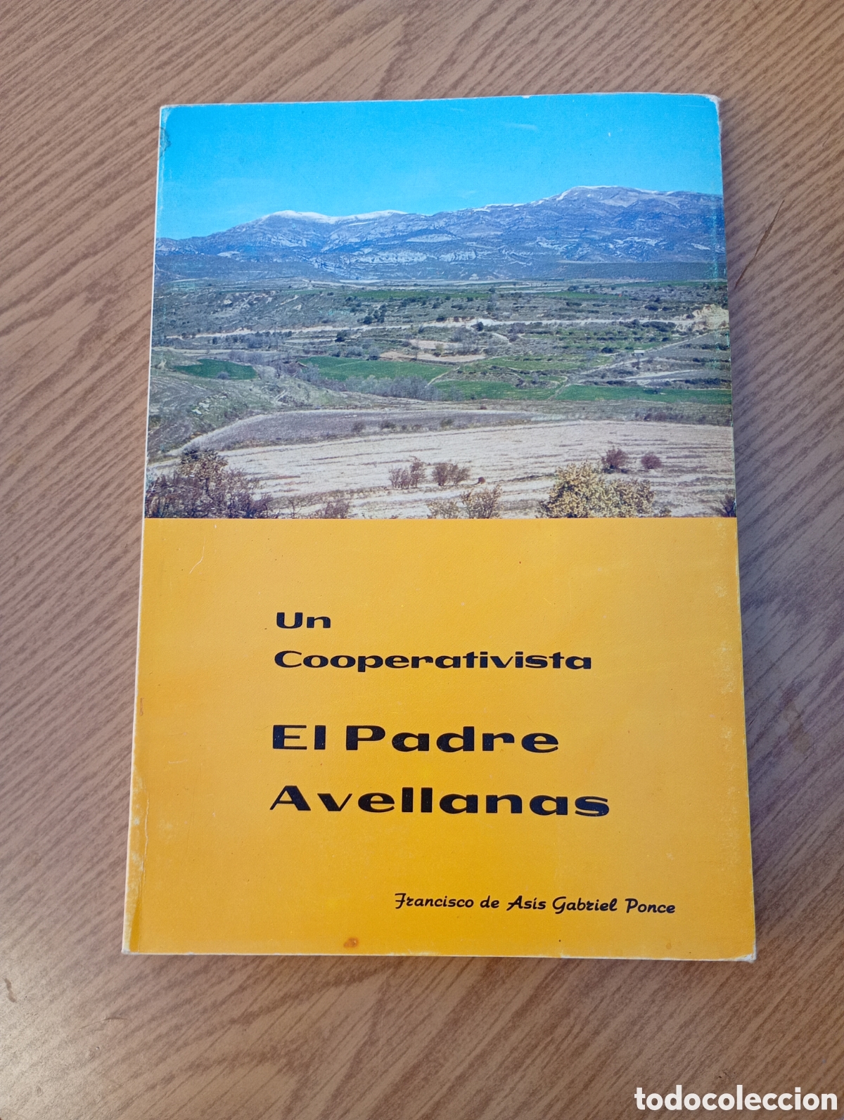 Libros de segunda mano: Un cooperativista el padre avellanas asis Gabriel ponce