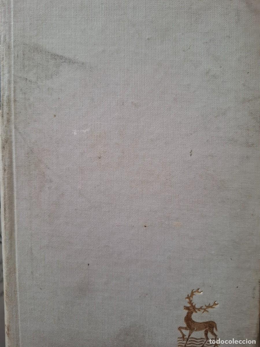 Second hand books: creo en la Iglesia renovaci&oacute;n y fidelidad Marcelo Gonz&aacute;lez Mart&iacute;n BAC