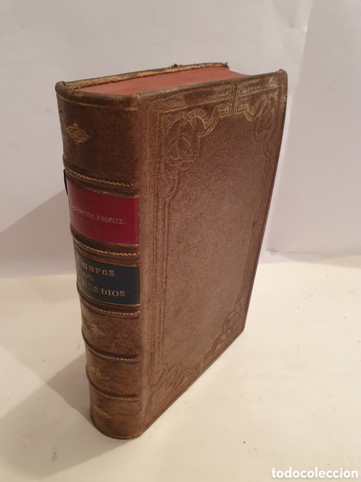 Libros de segunda mano: TRIUNFOS DEL AMOR DE DIOS. FRAY JUAN DE LOS ANGELES. MADRID 1901.