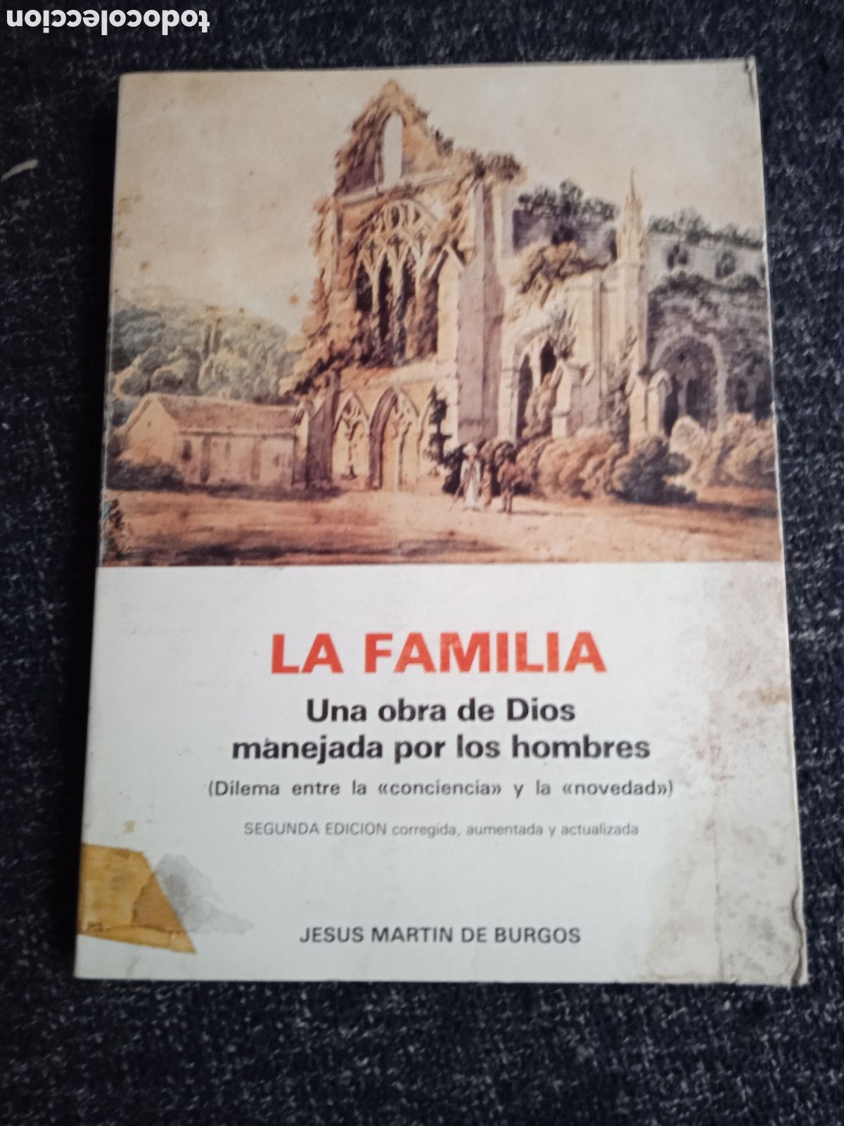 Gebrauchte B&uuml;cher: LA FAMILIA. UNA OBRA DE DIOS MANEJADA POR LOS HOMBRES. / JESUS MARTIN DE BURGOS