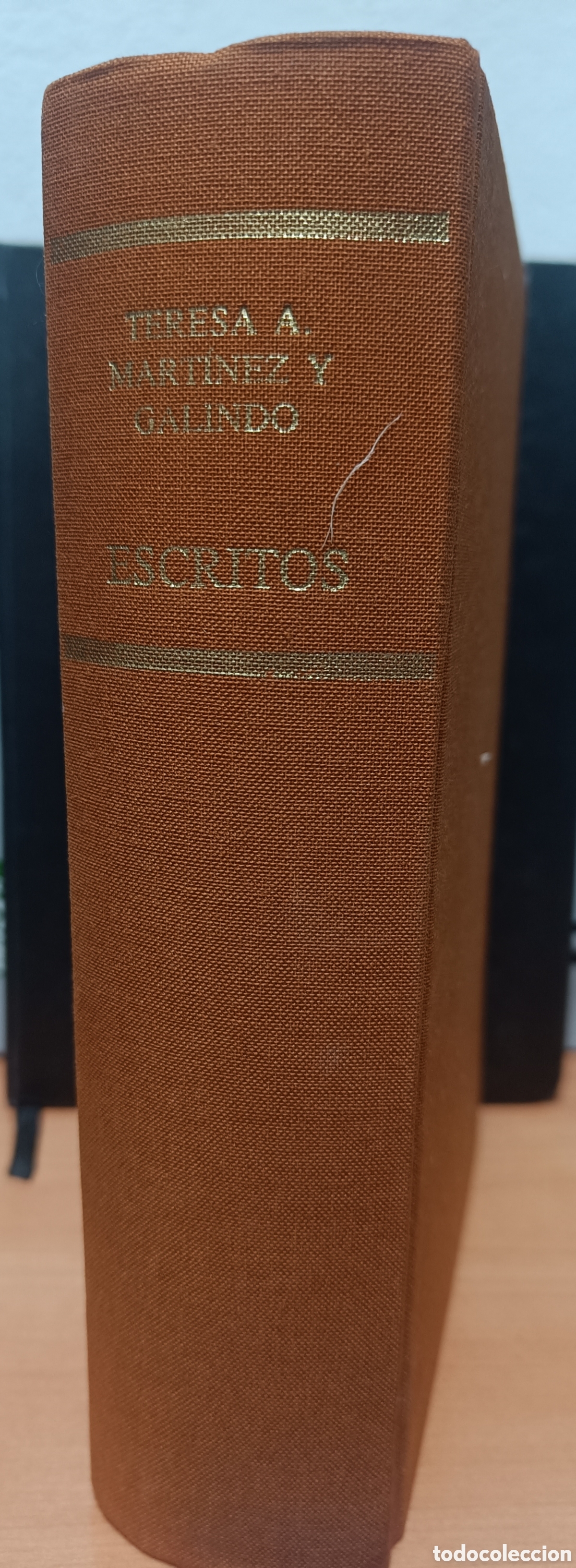 Libros de segunda mano: ESCRITOS. TERESA A. MART&Iacute;NEZ Y GALINDO.