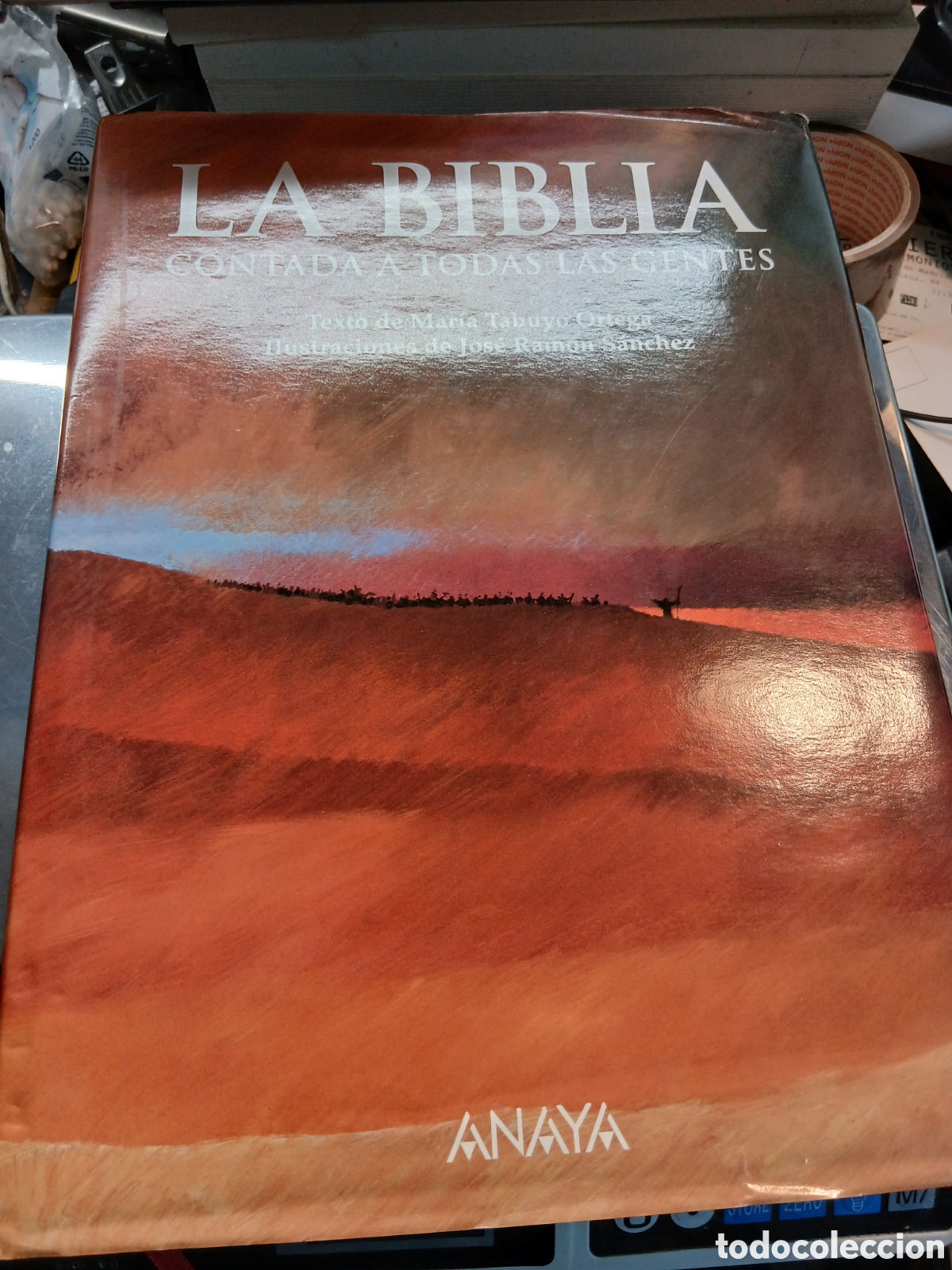 Libros de segunda mano: LA BIBLIA CONTADA A TODAS LAS GENTES .TEXTO DE MARIA TABUYO ORTEGA ILIUSTRACIONES JOSE RAMON S&Aacute;NCHEZ