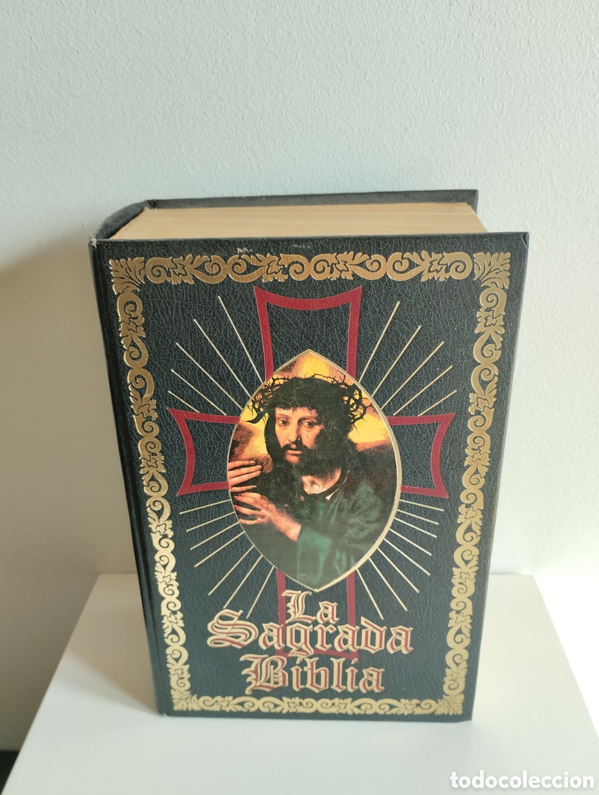Libros de segunda mano: La Sagrada B&iacute;blia. Felix Torres Amat. 1983. Vision Libros, S.L. 1403 paginas. ( Angel).