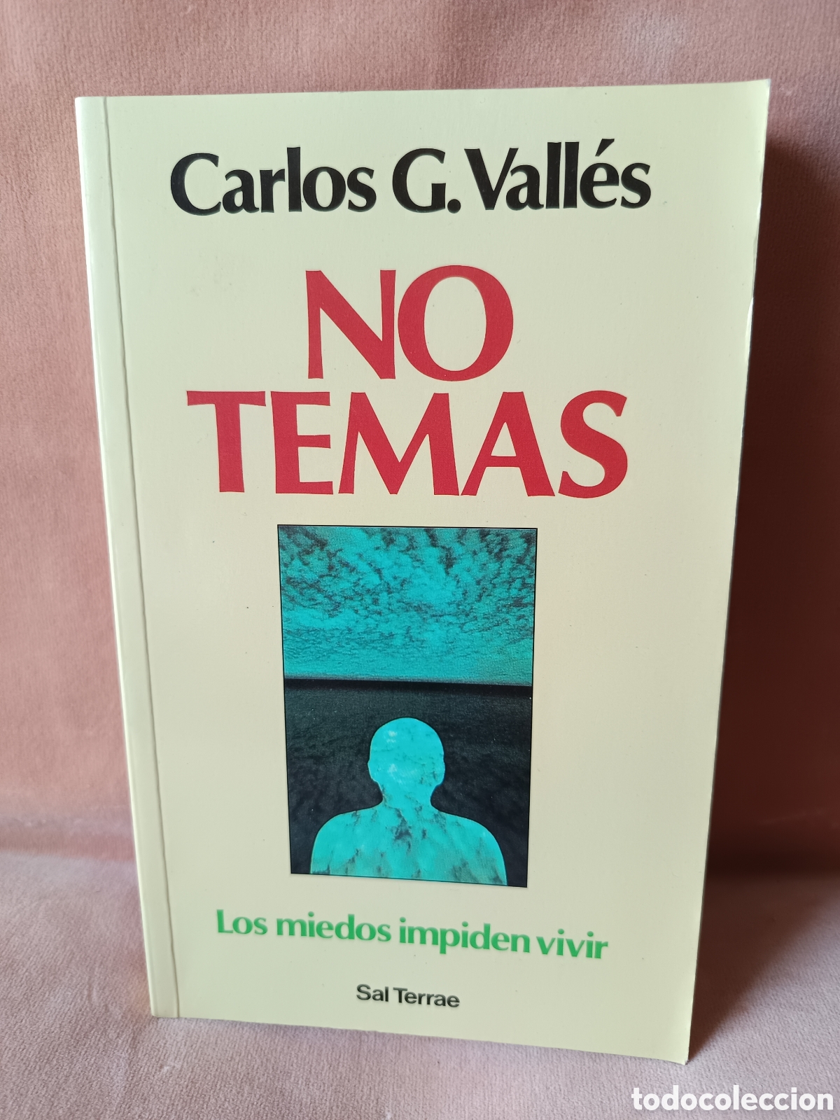 Libros de segunda mano: No temas - Los miedos impiden vivir - Carlos G. Vall&eacute;s