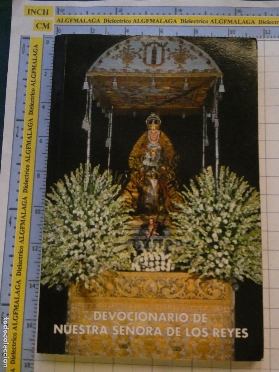 Libros de segunda mano: LIBRO RELIGIOSO. A&Ntilde;O 1987. DEVOCIONARIO DE NUESTRA SE&Ntilde;ORA DE LOS REYES SEVILLA. 95P. 130GR. 1668