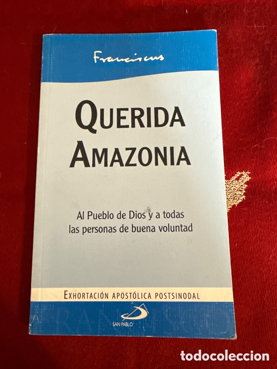 Libros de segunda mano: Exhortaci&oacute;n apost&oacute;lica, postsinodal &ldquo;Querida Amazonia.