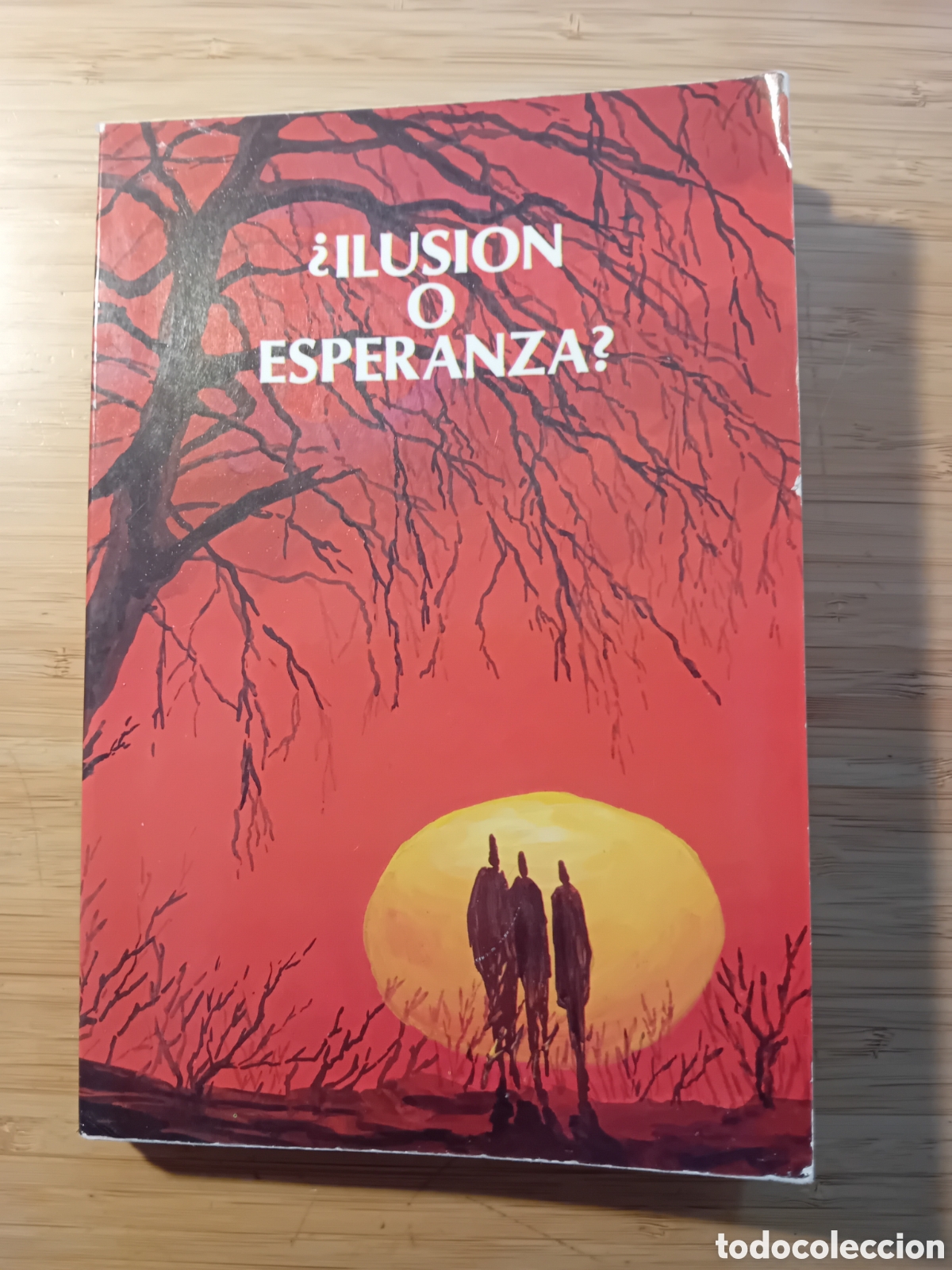 Libros de segunda mano: &iquest;Ilusi&oacute;n o esperanza? - Winfried Noack (Safeliz 1984)