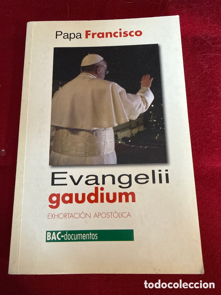 Libros de segunda mano: Exhortaci&oacute;n Apost&oacute;lica Evangelii Gaudium. Papa Francisco.