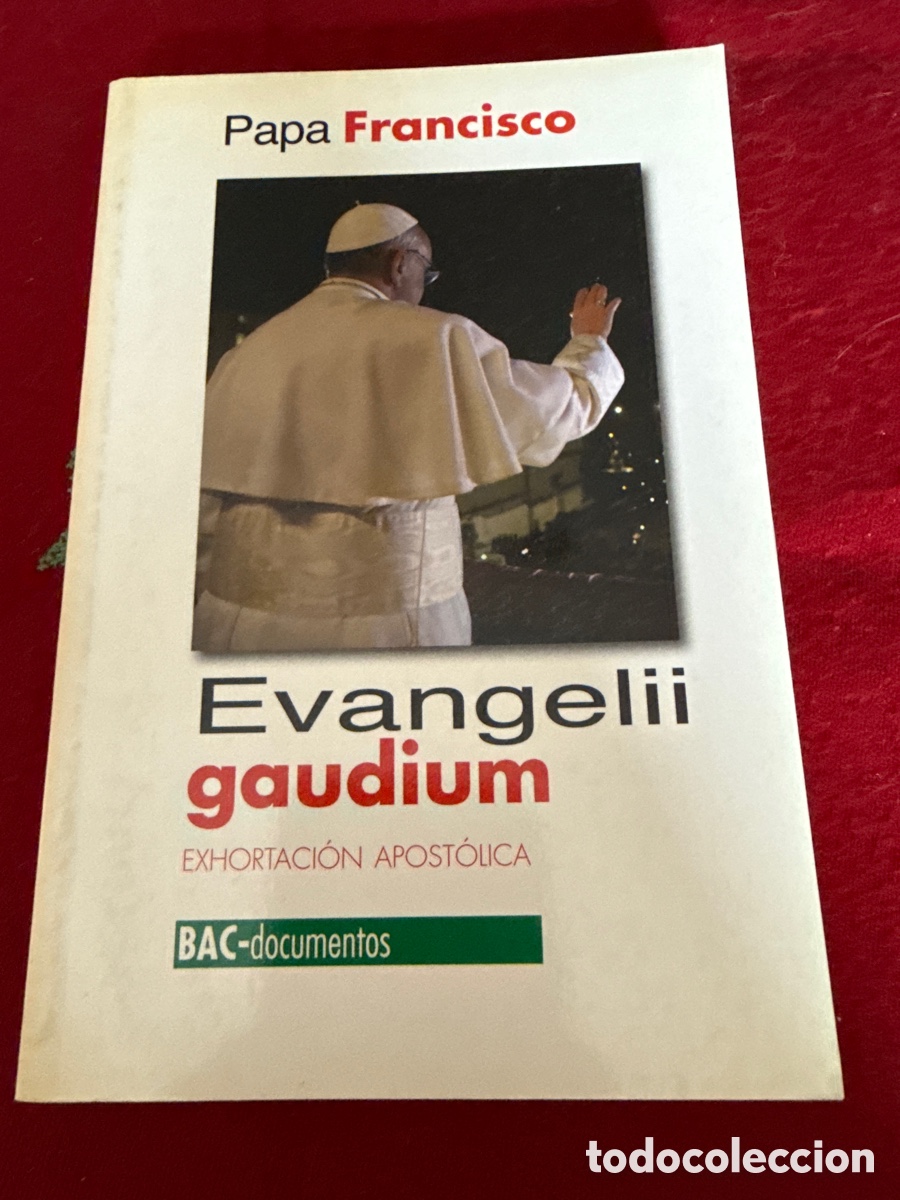 Libros de segunda mano: Exhortaci&oacute;n Apost&oacute;lica Evangelii gaudium. Papa Francisco.